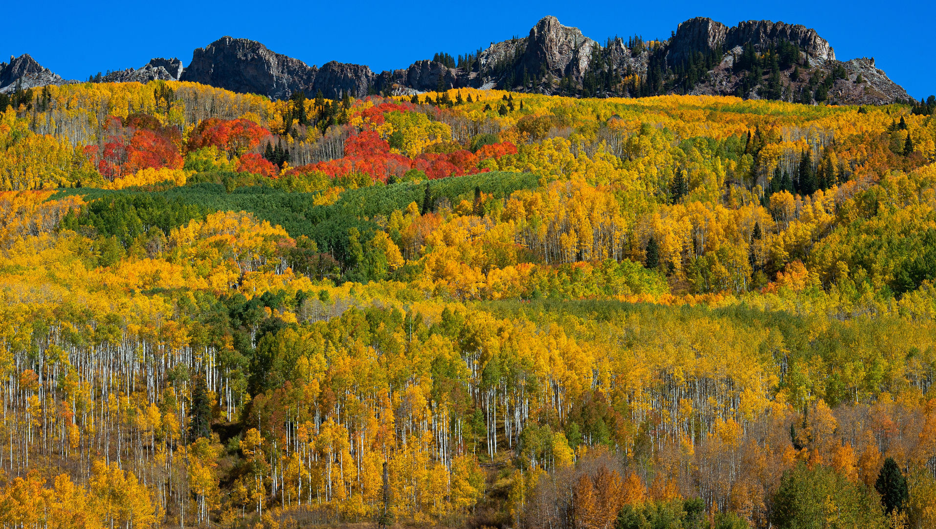 10_06_19 crested butte0857.JPG